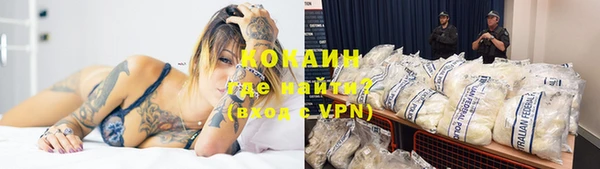 твердый Арсеньев