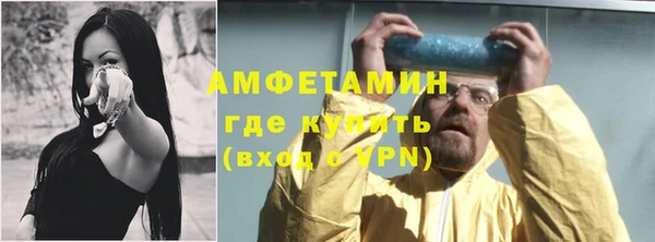 шишки Тында