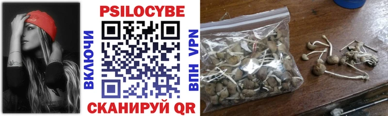 гидра рабочий сайт  закладки  Злынка  сайты даркнета клад  Галлюциногенные грибы мухоморы 