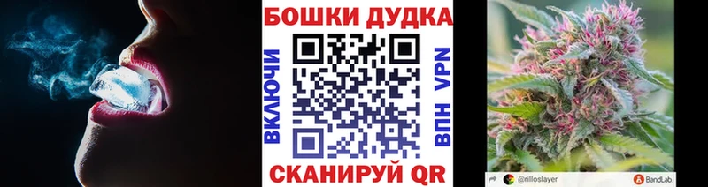 закладки  OMG маркетплейс  Бошки Шишки White Widow  Злынка 